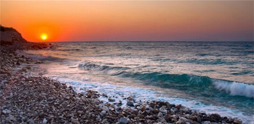 薛太保肥肠芋儿鸡