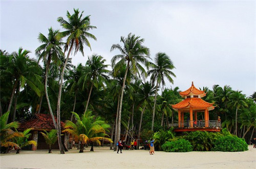 何爹浏阳蒸菜