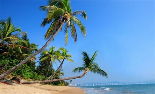 玩具飞机价格大全