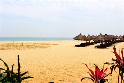 甘孜州开店2025马桶垫纸连锁店什么项目风险低