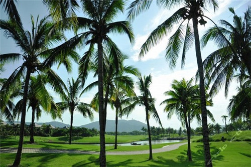 创业零食店的计划书怎么做，零食店创业计划书项目简介