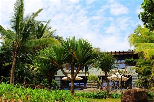 酷食塔2025可以加盟吗，汉堡加盟店利润到底高不高