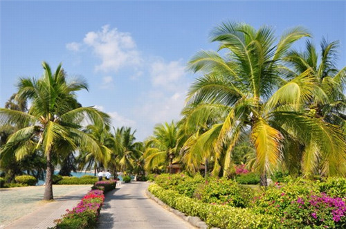 海城市开店转接环加盟招商品牌有哪些