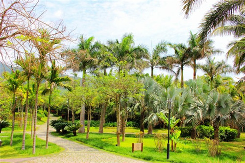 无缝钢管加盟投资创业什么项目好