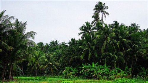 练功一定要专心是什么歌（练功时要做到）