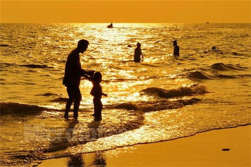 藏排通便贴（通便贴多少钱一盒）