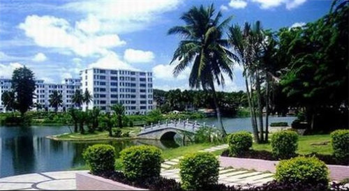 晨起开车听什么歌好听（适合早上开车听的财经）