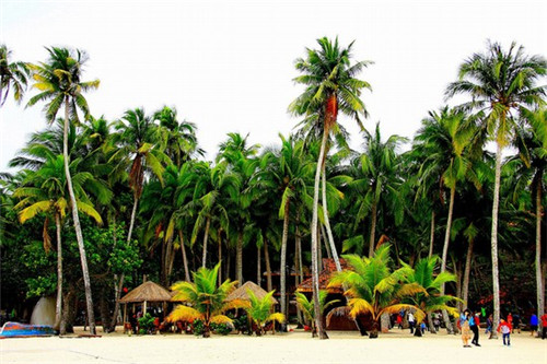 全云南公路自驾游线路地图（云南最美公路旅游攻略）